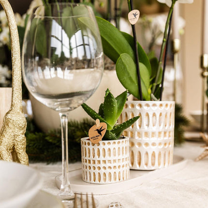 Orchidée | Ensemble de plantes Le Chic petit | Orchidée Phalaenopsis blanche Amabilis et plante grasse incluant des pots décoratifs en céramique sur un plateau organique crème