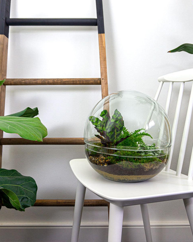 DIY Planten terrarium tweedelig bolglas - Dome XL -Ø 28 cm ↑ 28 cm - Rake + Shovel + Tweezer