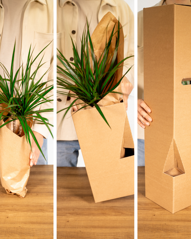 Garden Herb Mix - 4 pieces - Ø14cm - ↕18cm