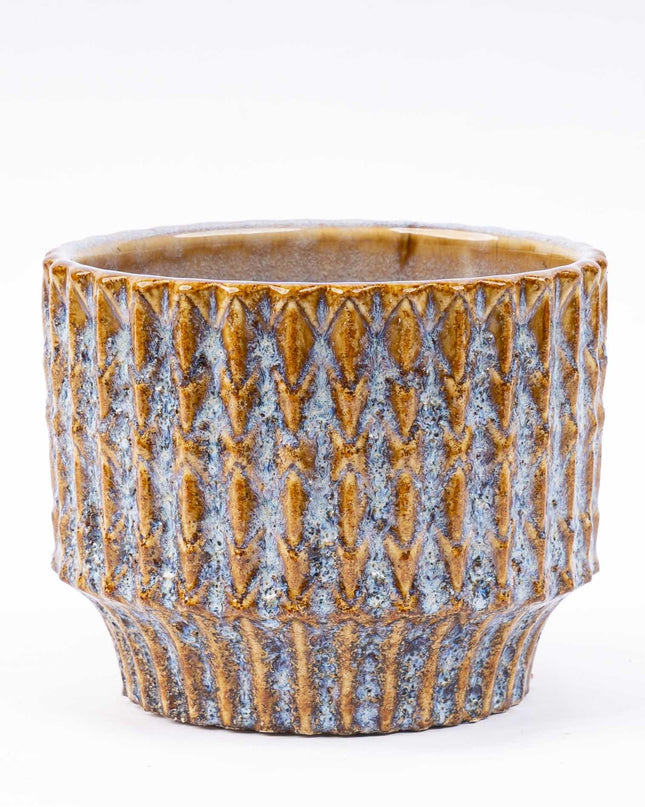 Set van 2 - Kerstboom 'Ellwoodii' + Pot Echo + 20 led lampen - 25 /30 cm hoog