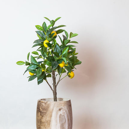 Kunstplant - Citrus Limonia - Citroenboom - ↕ 75 cm