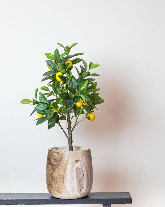 Kunstplant - Citrus Limonia - Citroenboom - ↕ 75 cm