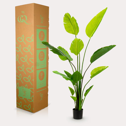 Kunstplant - Strelitzia Nicolai - Paradijsvogelbloem - ↕ 150 cm