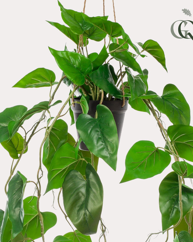 Kunstplant - Philodendron scandens - Klimmende Boomliefhebber - ↕ 80 cm