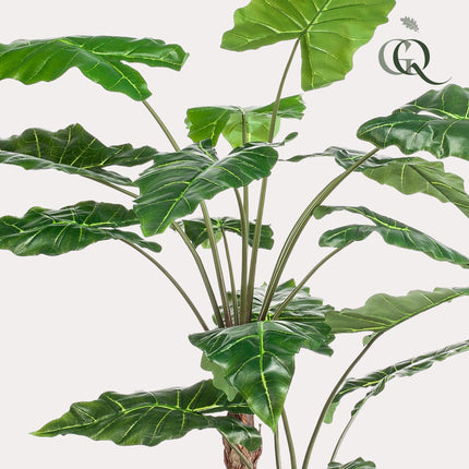 Kunstplant - Alocasia - Olifantsoor - ↕ 180 cm