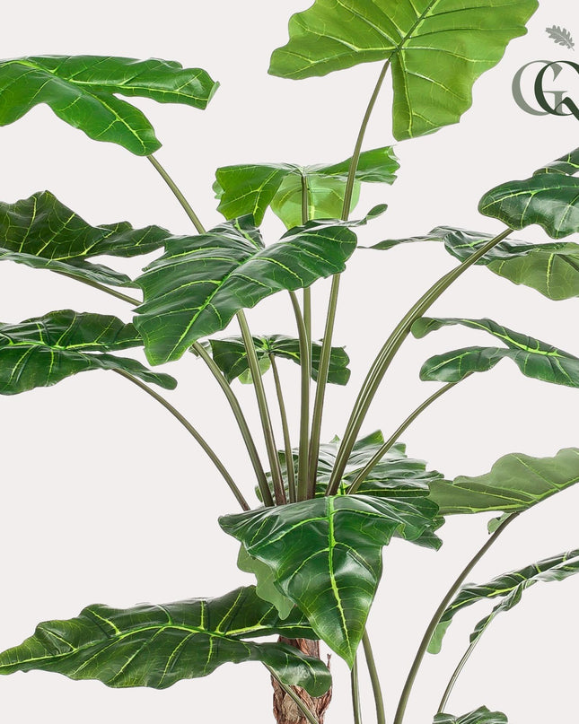 Kunstplant - Alocasia - Olifantsoor - ↕ 180 cm