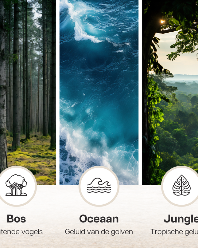 Scatola musicale Melodiez - Legno scuro