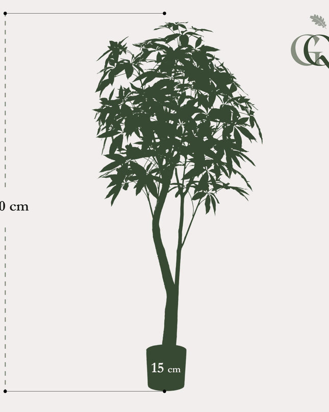 Kunstplant - Pachira Aquatica - Geldboom - ↕ 180 cm